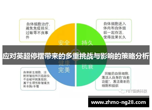 应对英超停摆带来的多重挑战与影响的策略分析